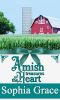 [Amish Dynasty 02] • Amish Treasures of the Heart